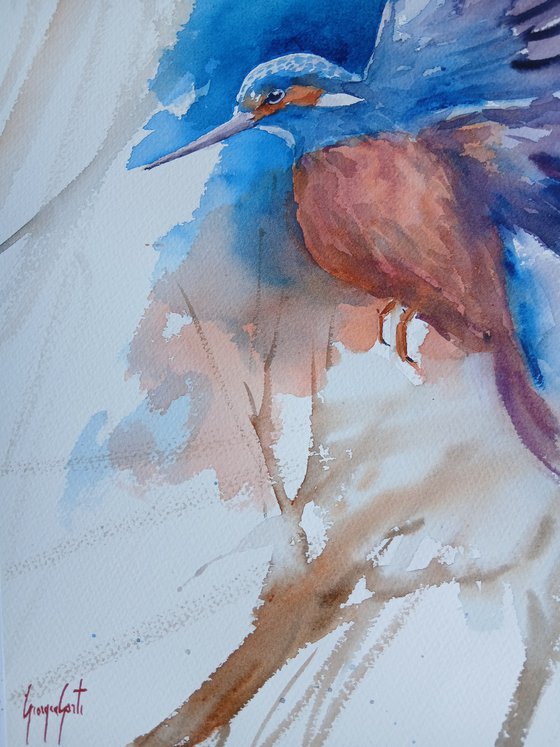 Kingfisher