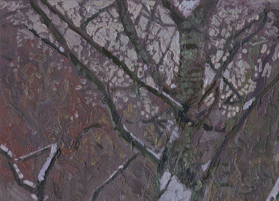 February. Alley in Tsaritsyno Park