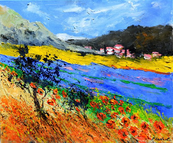 Lavender and poppies    in Provence