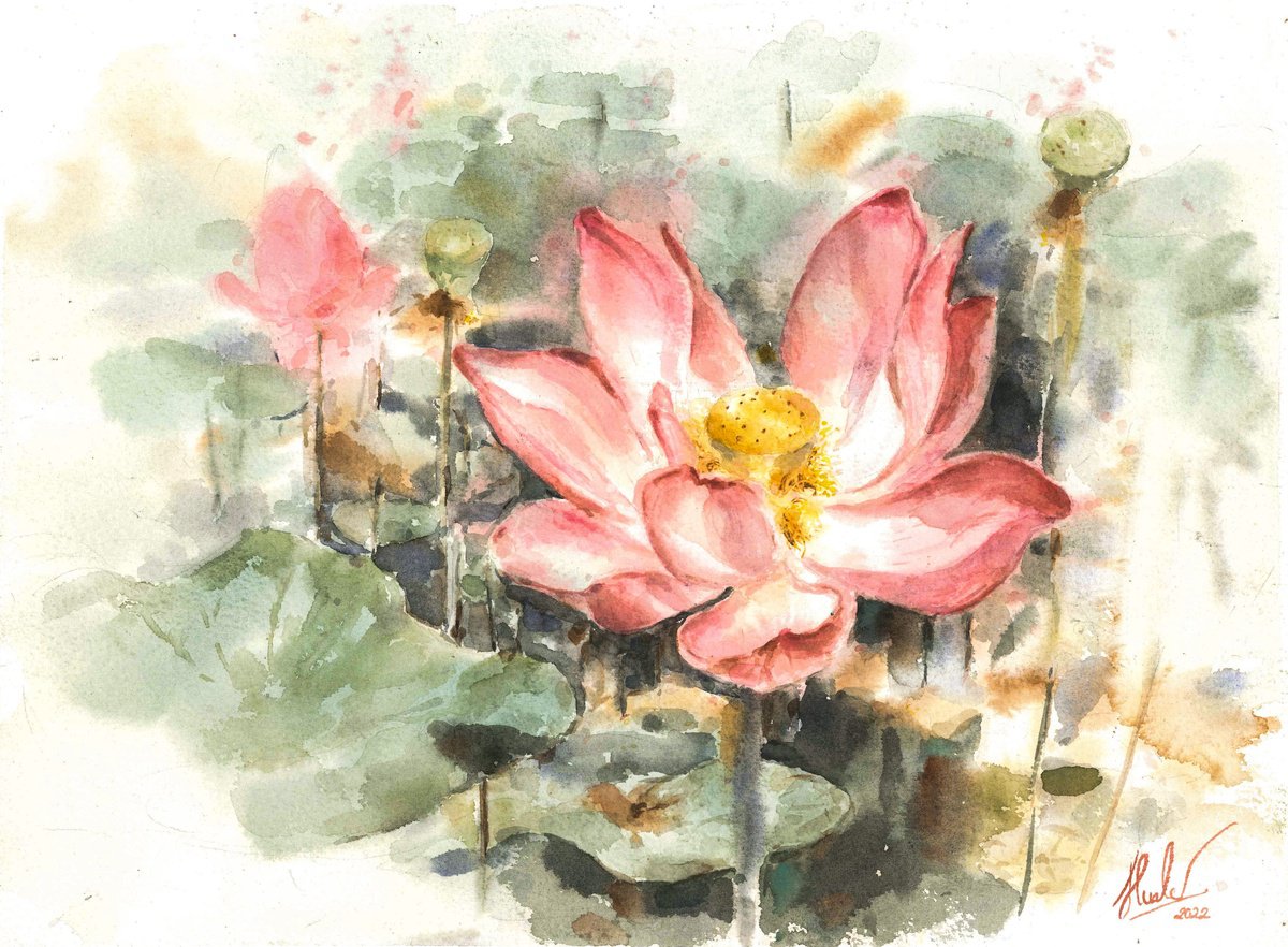 Lotus by Hua Le