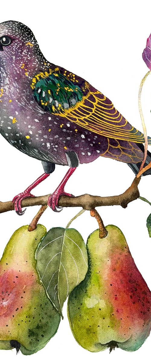 Common Starling on a Pear Branch by Yuliia Malkina Bohuslavska