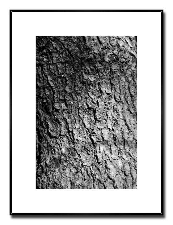 Trunk 1 - Unmounted (30x20in)