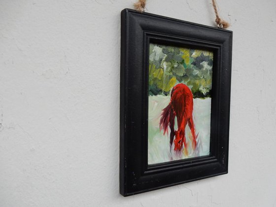 Red horse in a field. small framed painting.