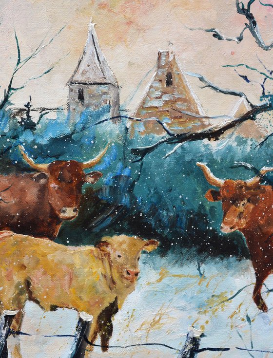 Cows in the snow