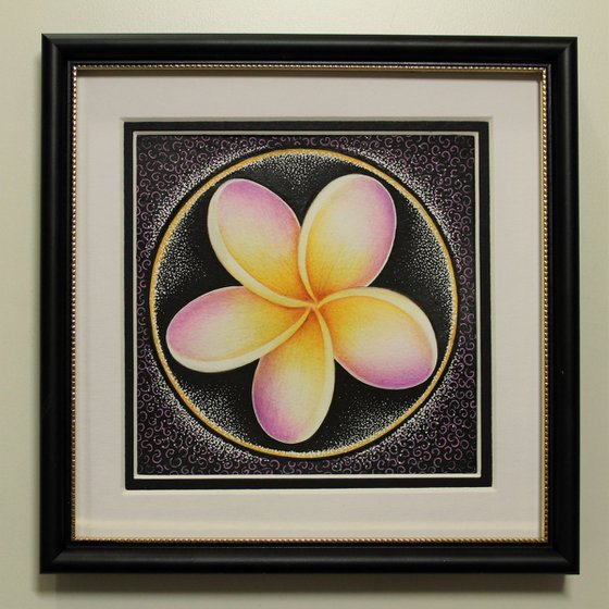 Plumeria Mandala