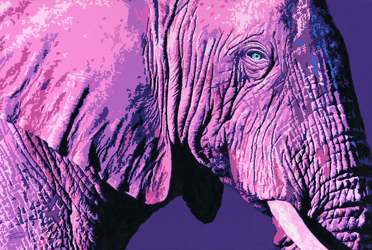 Pink Elephant 2 by Sabrina Rupprecht