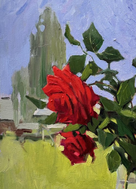 Bouquet of roses in the Alps