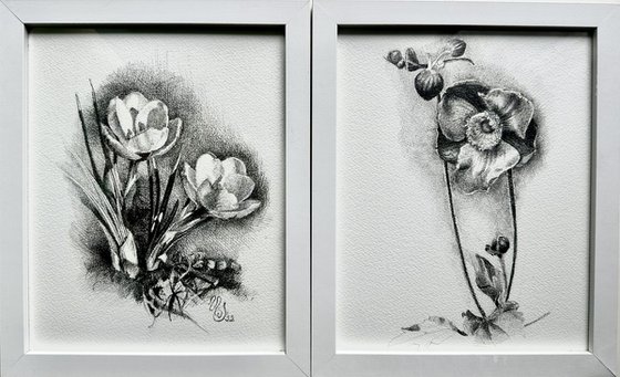 Floral vessel drawing diptych