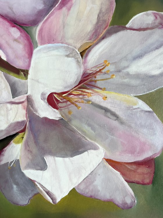 Almond blossom 30x30 cm