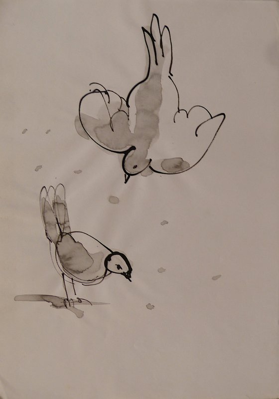 The Sparrows 3