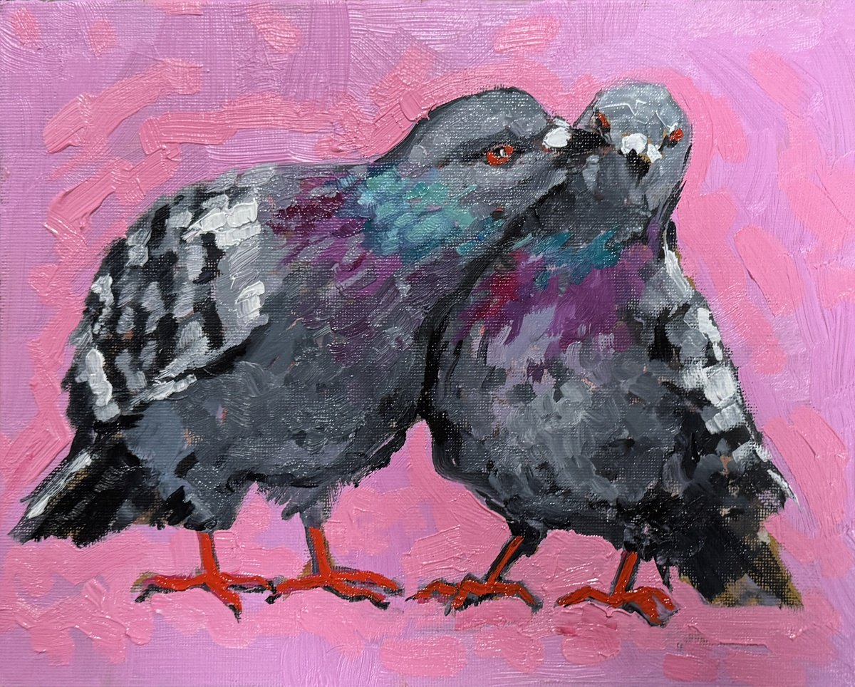 Pigeons By Ekaterina Dutkevich, 9 X 11, Artwork For Sale On Artfinder