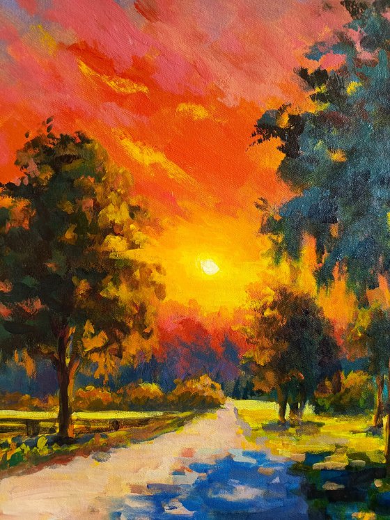 Sunrise landscape road trees