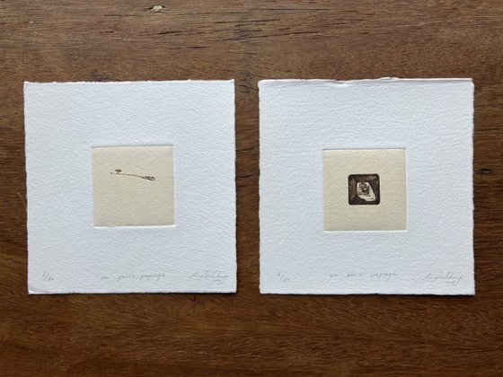 “ UN PETIT PAYSAGE ” #13 & #24