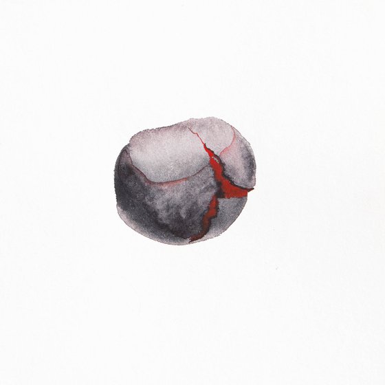Chestnut; Seeds series