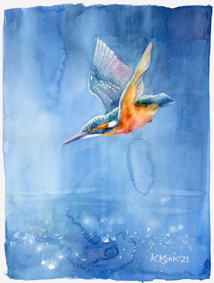 Flying kingfisher by Karolina Kijak