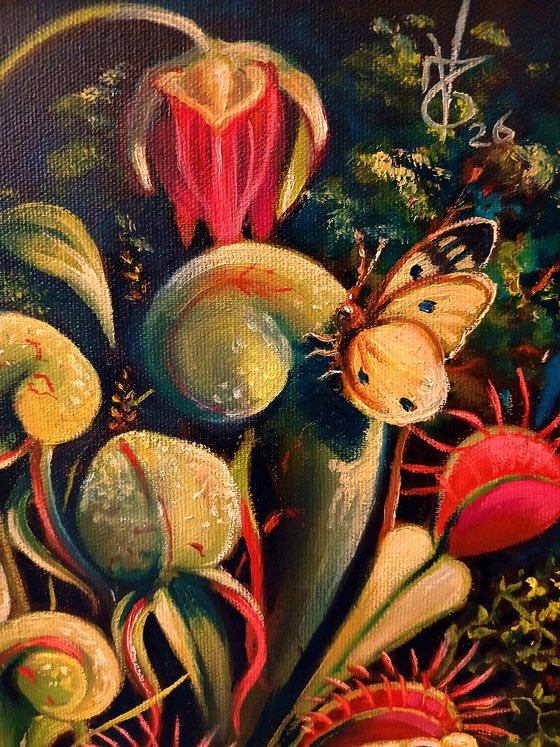 Carnivorous