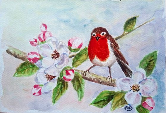 Robin Bird and Apple Blossom