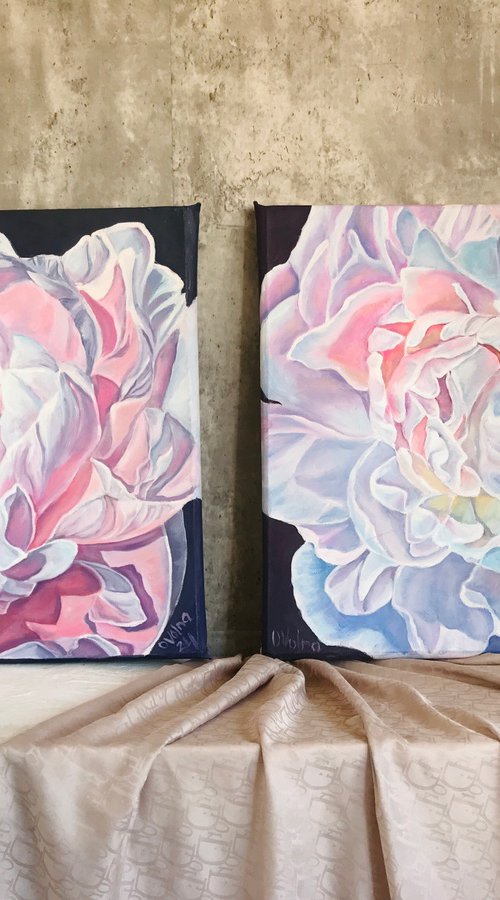 Diptych Peonies by Olga Volna