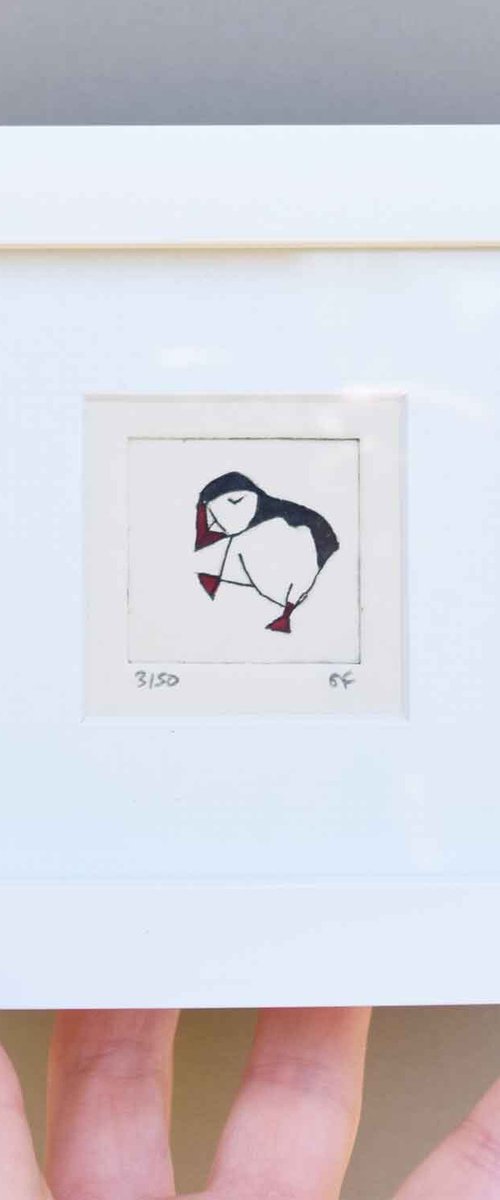 Mini framed puffin facing left by Sally Fisher
