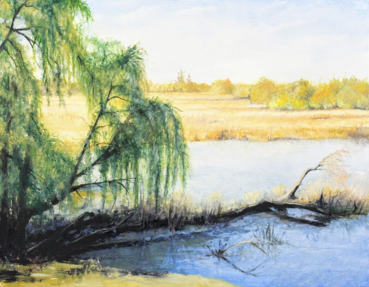 Old Willow by Ben Jurevicius