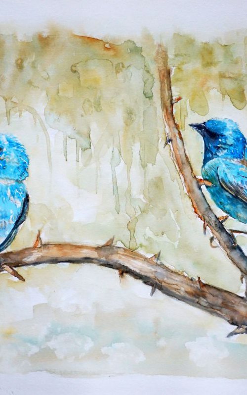 the Birds by Yulia Schuster