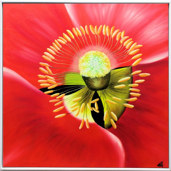 Poppy Core