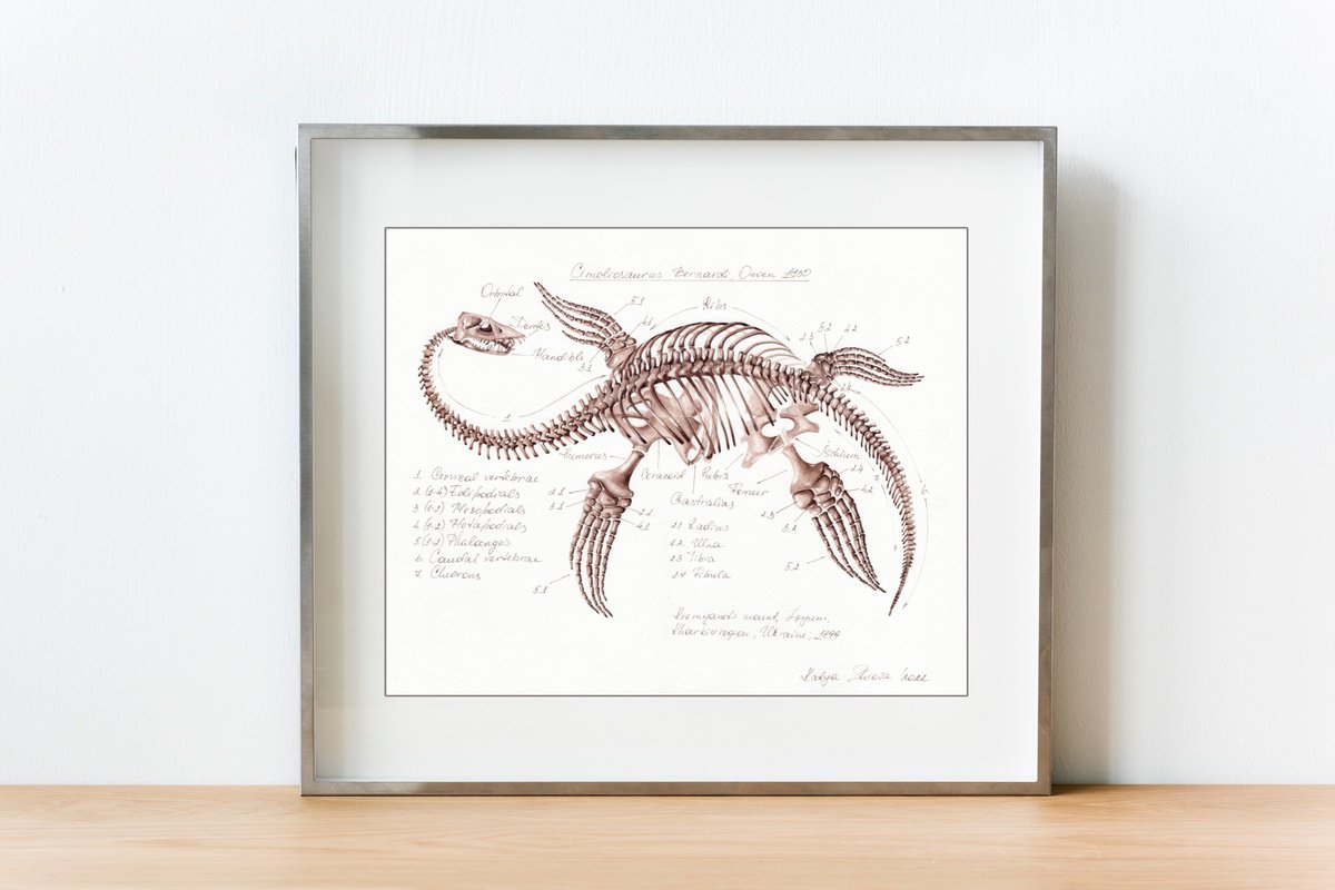 Illustrative Animal Watercolour By Katya Shiova, 15 X 12", Cimoliosaurus Bernardi, Plesiosaurus From Ukraine, Original Artwork