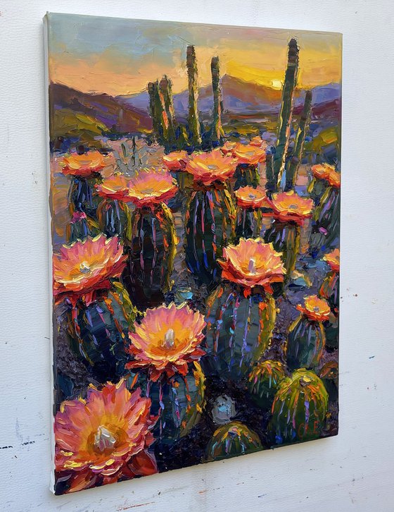 "Morning in Canyon "