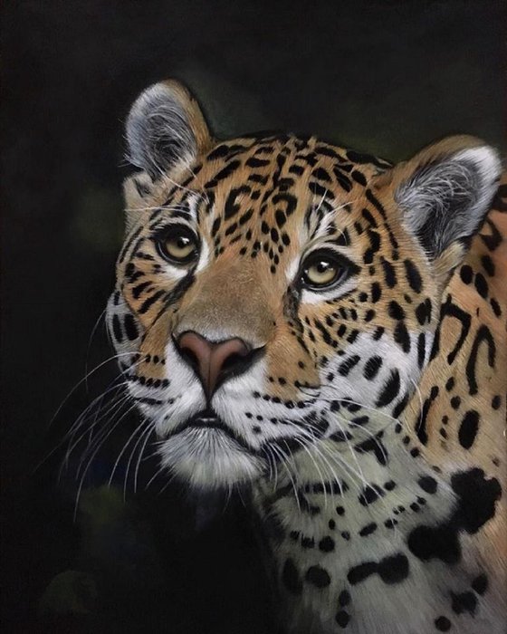 Jaguar