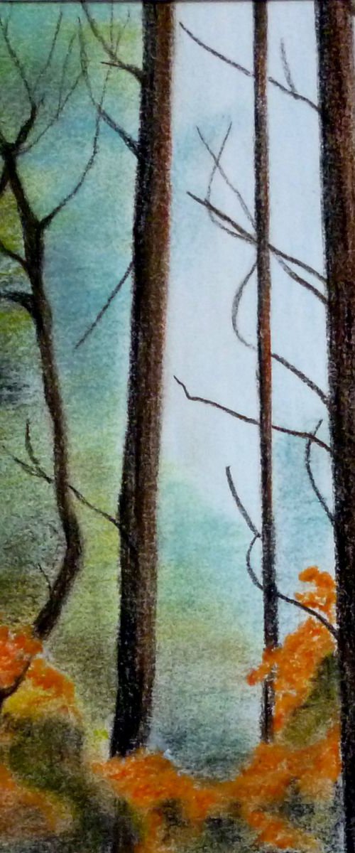 Forest Edge by Maddalena Pacini