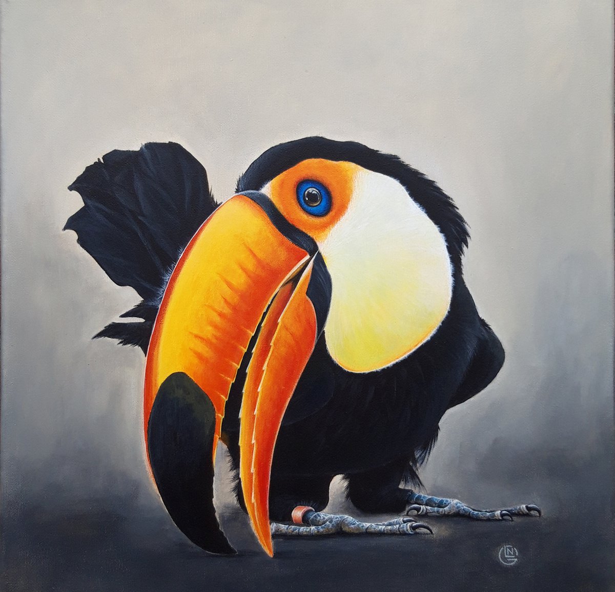 Photorealistic Animal Acrylic Painting By Natalia Langenberg, 16 X 16", Toucan Tropical Bird Acrylic Painting, Original Artwork