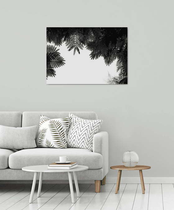 The Tree Top II | Limited Edition Fine Art Print 1 of 10 | 90 x 60 cm