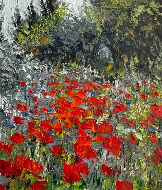 Poppies on grey background