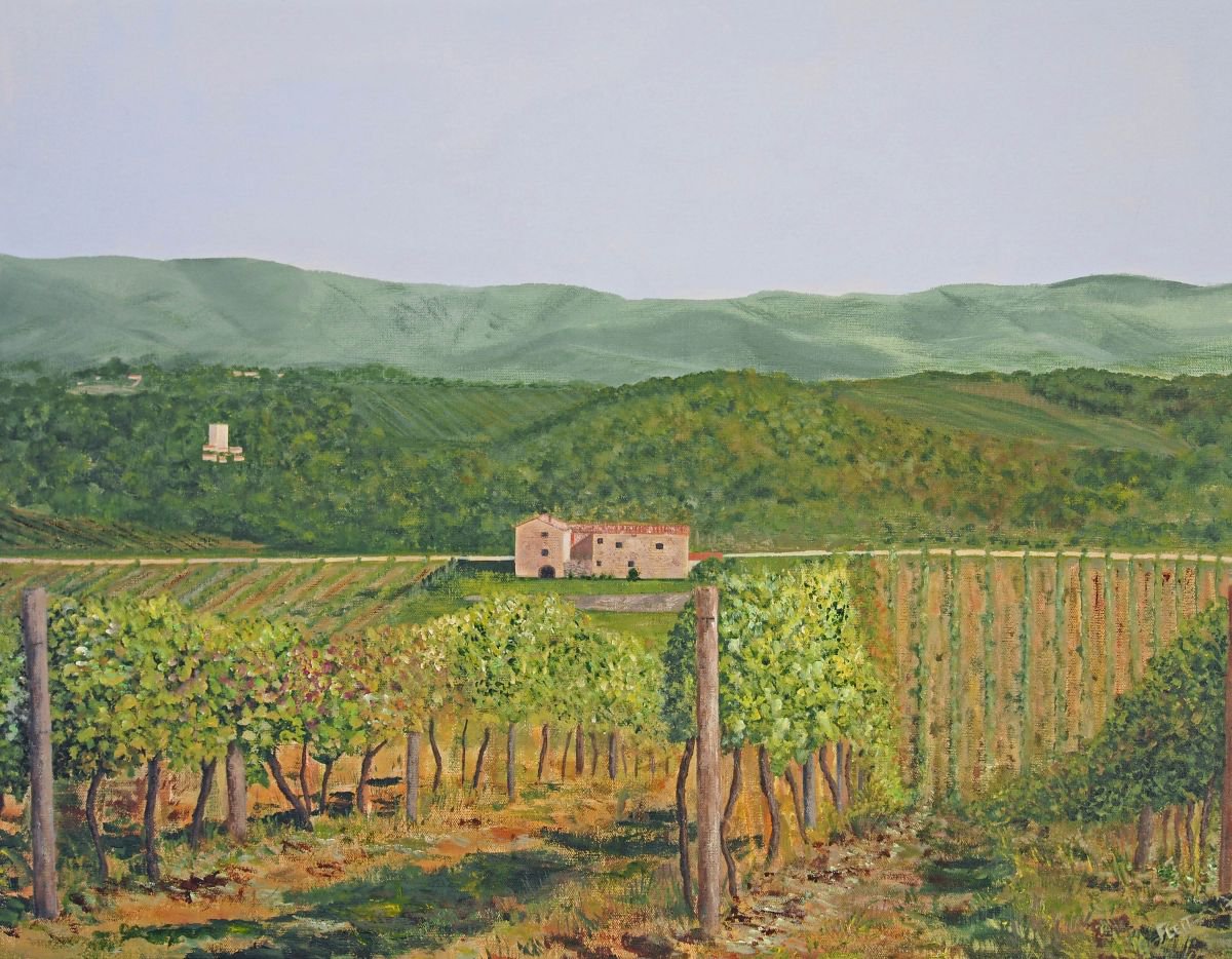 San Sano Vineyard by Steven Fleit