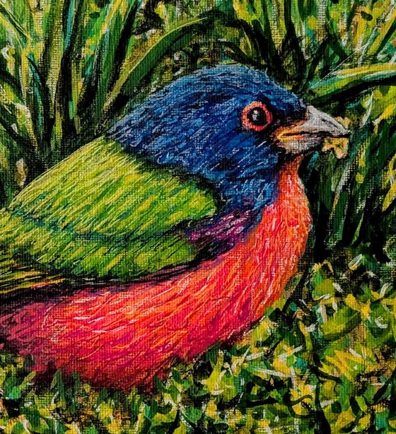 Painted Bunting