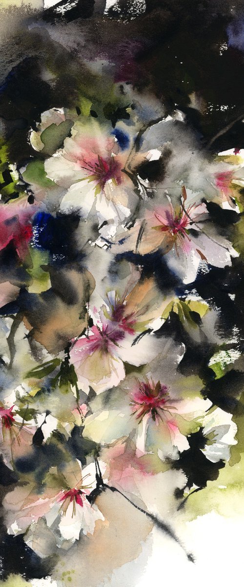 Almond Blooming Florals by Sophie Rodionov