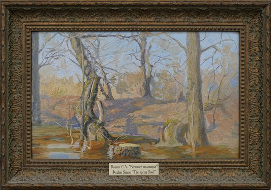 Spring flood