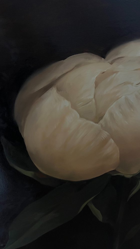 Old Holland flower 7