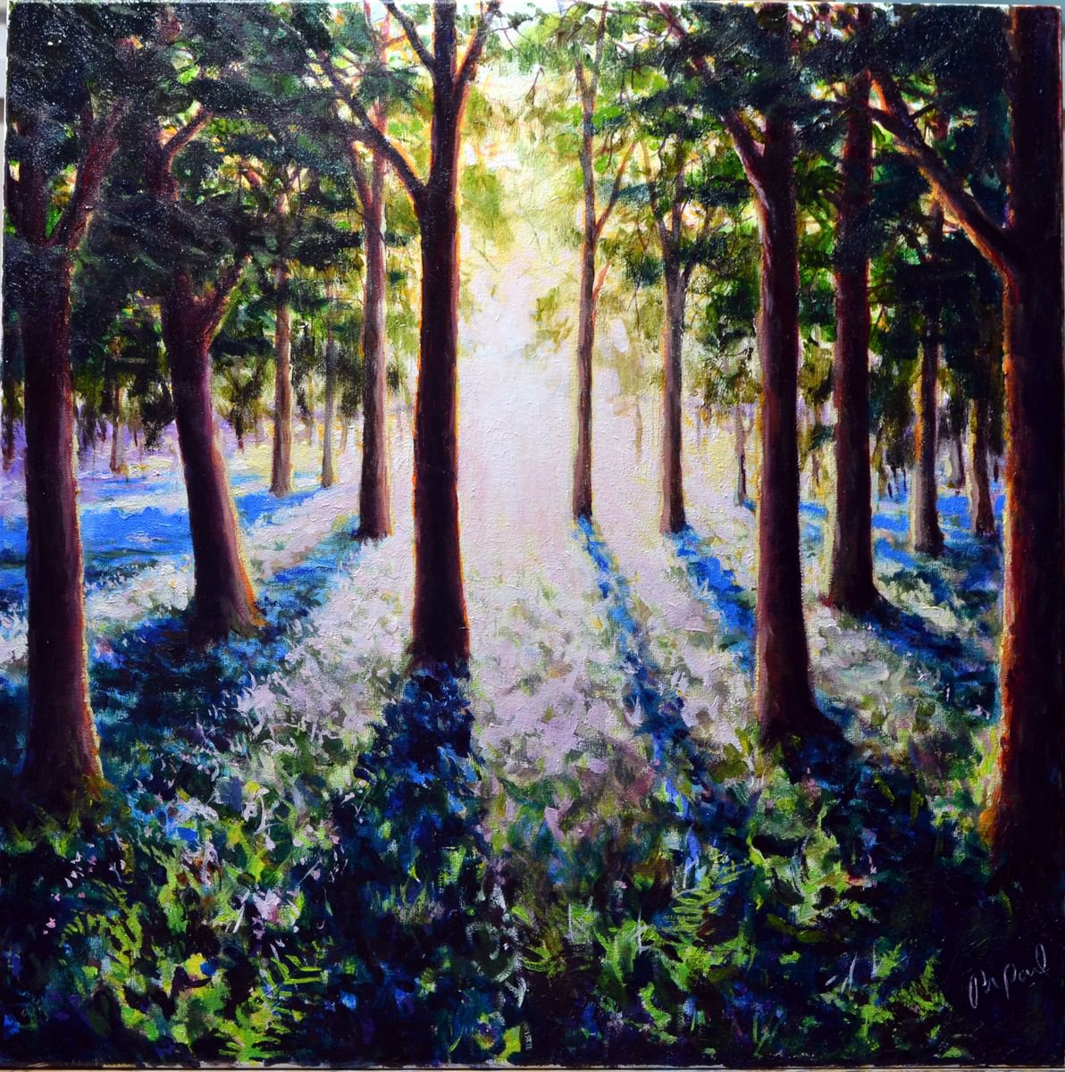 New Woodland Morning by JON PAUL WILSON
