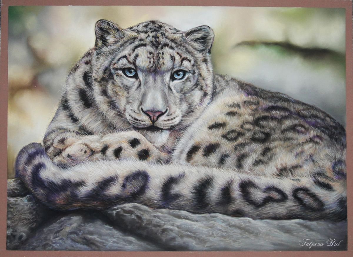 Snow leopard Pastel drawing by Tatjana Bril | Artfinder