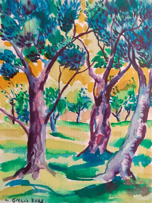 Three olive trees by Maja Grecic