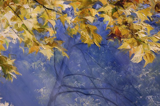 "Autumn sun"