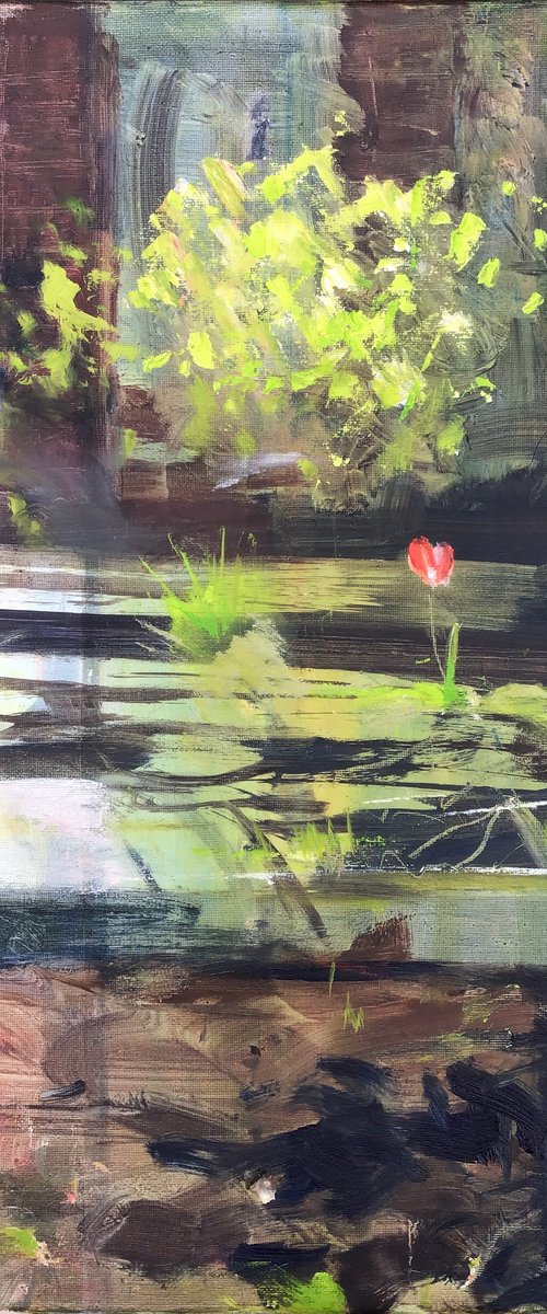 Spring Garden Light by Sandra Haney