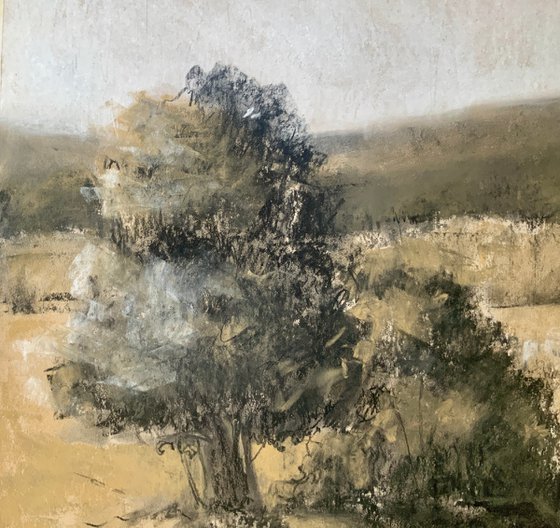 Silent Fields, Moving Air