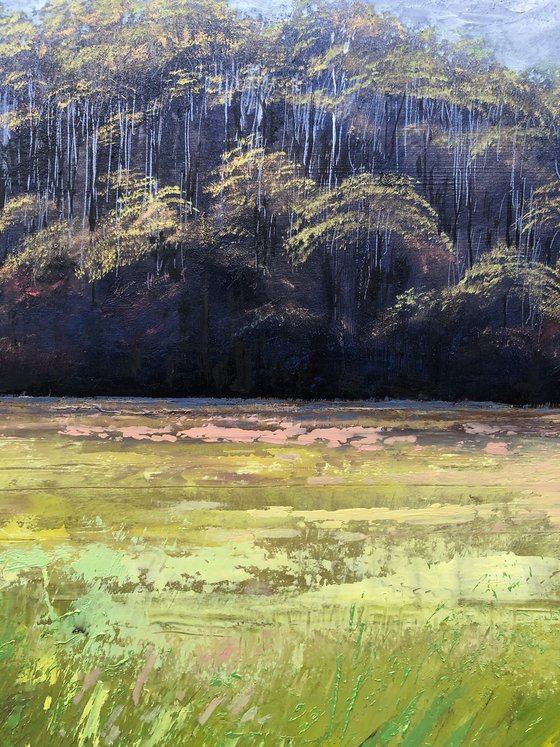 Spring Copse 2