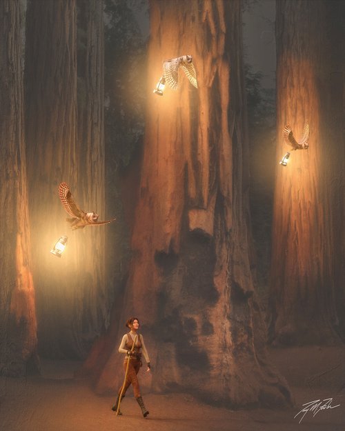 Redwood Adventure I by Tony Fowler