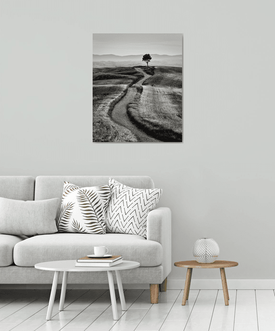 Countryside in Tuscany - Black and white landscape art photo Photograph ...
