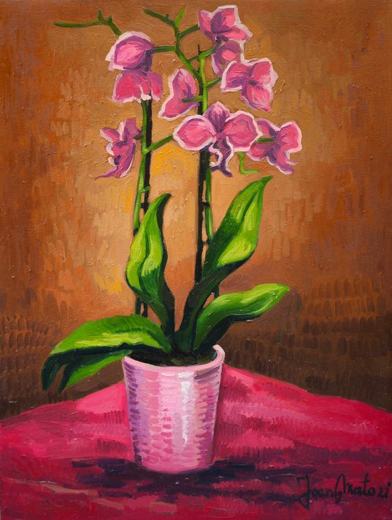 "Orchids"