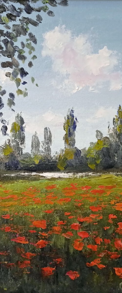 Poppies by the river by Oleh Rak