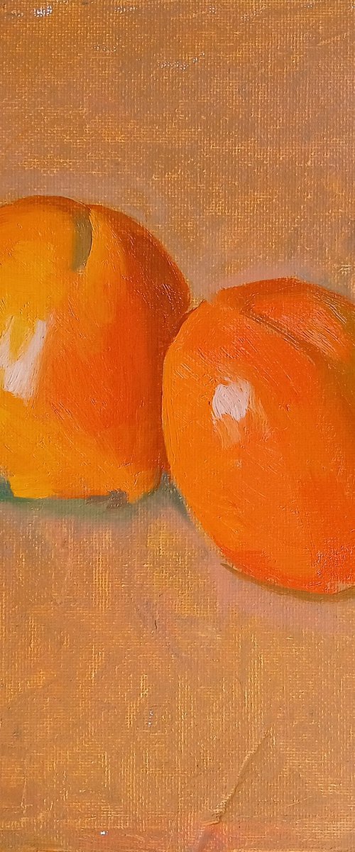 Sunlit Duo by Vasyl Koval